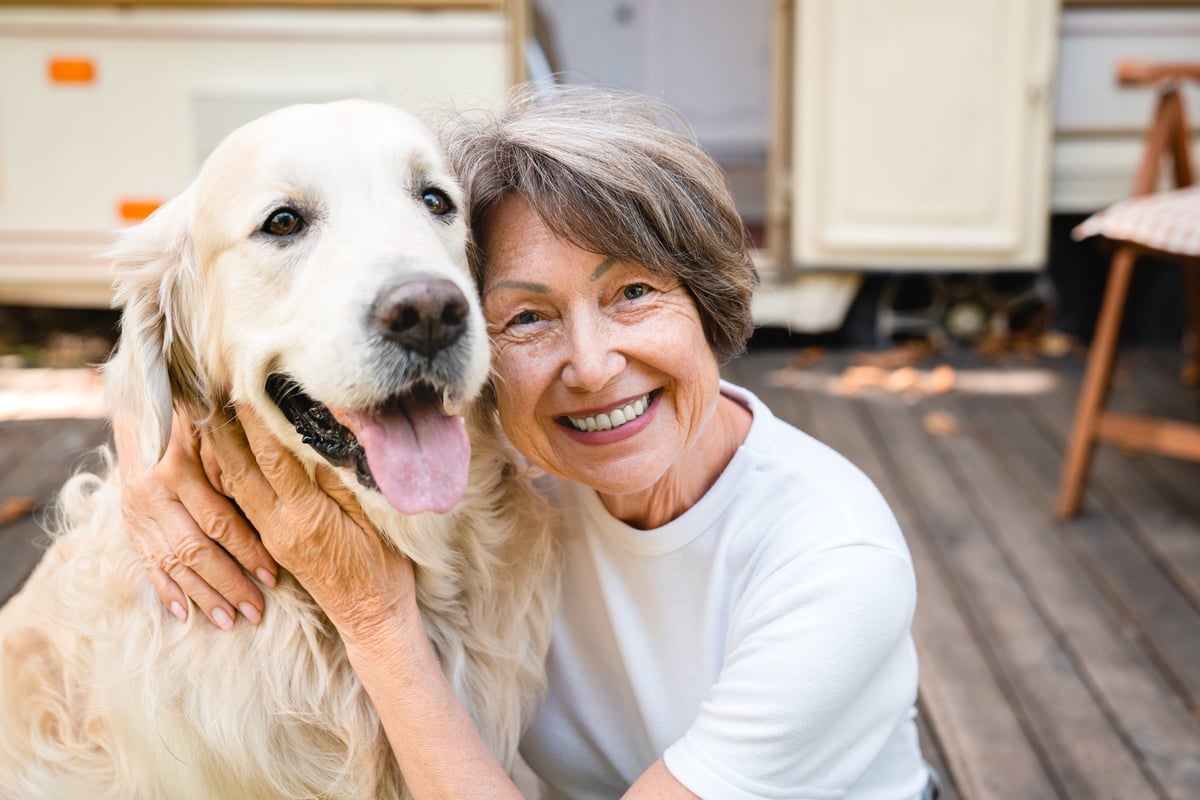 Closeup portrait of happy senior old woman owner with domestic animal pet golden retriever labrador